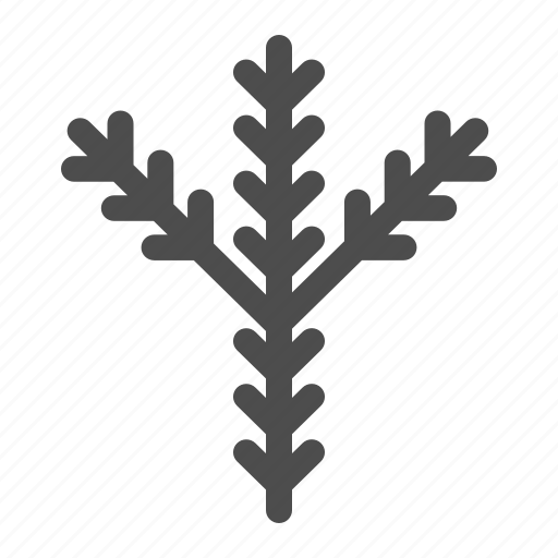 Branch, pine, christmas, december, decoration icon - Download on Iconfinder