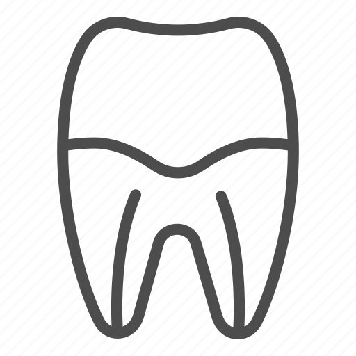 Dental, root, tooth, anatomy, dentist, dentistry, enamel icon - Download on Iconfinder