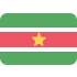 Suriname icon - Free download on Iconfinder