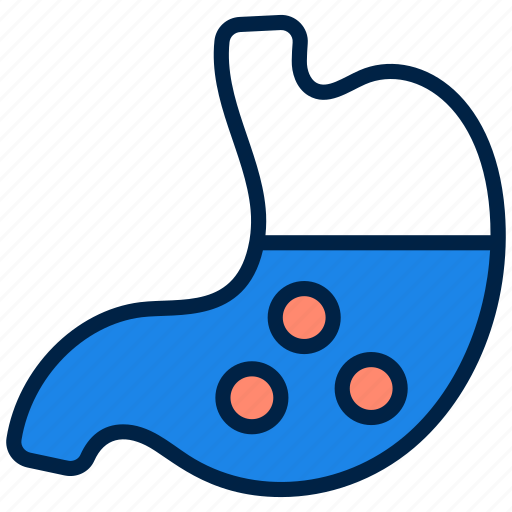 Stomach, health, organ, medical, body, belly, woman icon - Download on Iconfinder
