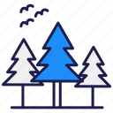 pine, tree, pine tree, nature, christmas-tree, christmas, decoration, xmas, forest