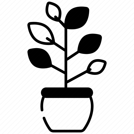 Ficus, plant, dandelion, plant-pot, natural, dill-plant, blue-pot icon - Download on Iconfinder