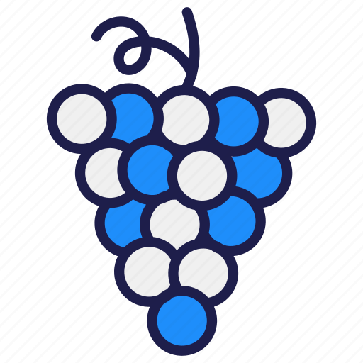 Grape, fruit, food, wine, healthy, fresh, grapes icon - Download on Iconfinder