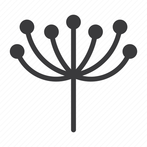 Blossom, dandelion, flower, plant icon - Download on Iconfinder