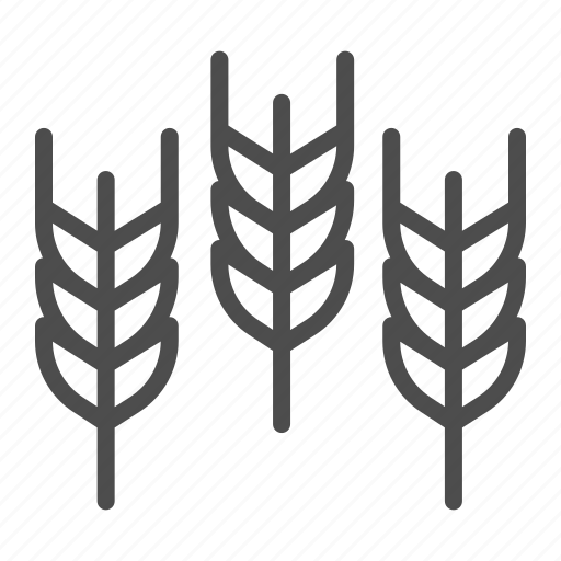Wheat, crop, seed, grain, plant, food, flour icon - Download on Iconfinder