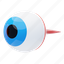 eye, eyeball, vision, pupil, iris, macro, human eye, cornea 