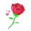 rose, love, romance, floral 