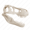 dionosaur skull, jurassic, monster, prehistoric, paleontology 