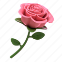 rose, valentine, floral, wedding, day, love, romantic, plant, heart, nature, flower 