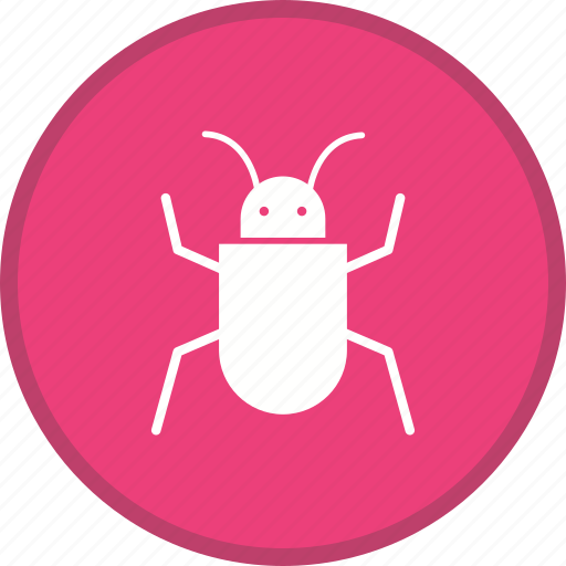 Bug, insect, virus, spider icon - Download on Iconfinder