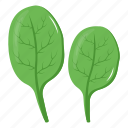green vegetable, spinach, leafy vegetable, leaves, food