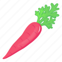 carrot, vegetable, food, root vegetable, fresh carrot