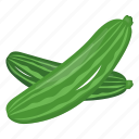 cucumber, zucchini, vegetable, veggie, food