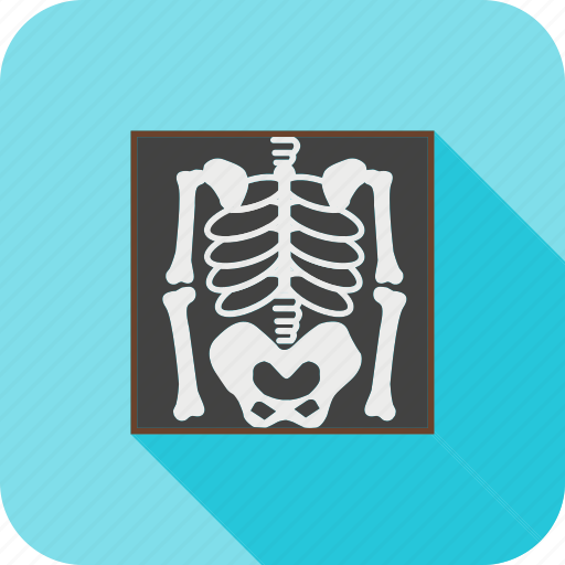 Skeleton, bones, dead, x rey icon - Download on Iconfinder