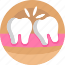 dental, care, clinic, dentist, molar, molars, tooth