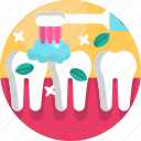 brushing, brushing teeth, dental, healthcare, mouth, teeth, toothbrush
