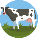 farming, cow, animal, domestic, dairy 