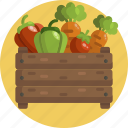 farming, vegetables, harvest, food, carrots, pepper, tomatoes 