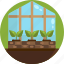 farming, gardening, greenhouse, grow, house, plant 