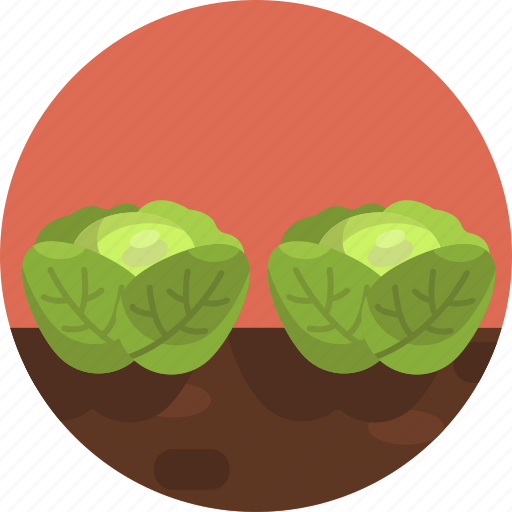 Cabbage, vegetable, cabbages, sprout, two, brussels icon - Download on Iconfinder