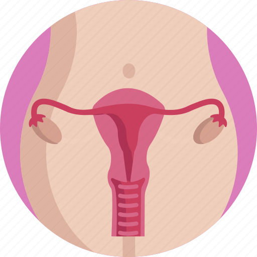 Feminine, female, organ, pregancy, reproductive, system icon - Download on Iconfinder