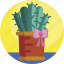 gifts, cactus, cacti, flower pot, gift 