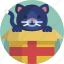 gifts, christmas, gift, holiday, gift box, giftbox, cat 