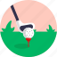 golf, golf ball, golf stick, golf tee 
