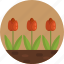 gardening, flowers, tulips, garden flower, nature 