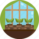 gardening, greenhouse, grow, house, plant