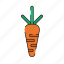vegetable, carrot, carrots, vegetables 