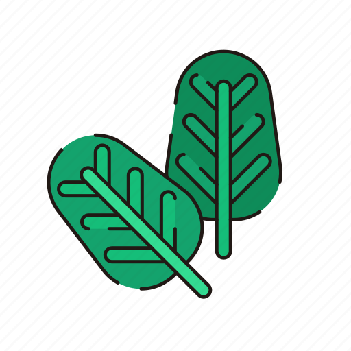 Vegetable, spinach, leaf, green, kale icon - Download on Iconfinder