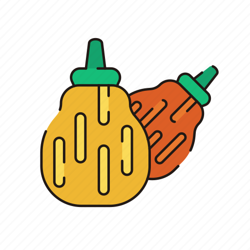 Vegetable, squash, pumpkin, food, healthy icon - Download on Iconfinder