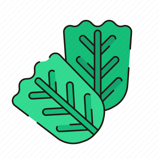 Vegetable, leaf, green, spinach, kale icon - Download on Iconfinder