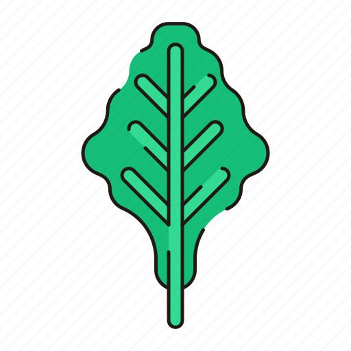 Vegetable, leaf, green, spinach icon - Download on Iconfinder