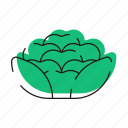 vegetable, cauliflower, cabbage, food