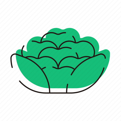Vegetable, cauliflower, cabbage, food icon - Download on Iconfinder