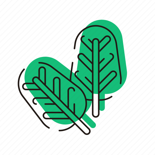 Vegetable, spinach, green, leaf, kale icon - Download on Iconfinder