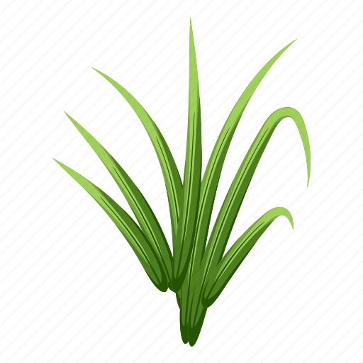 Grass, turf, grass patch, garden grass, scutch grass icon - Download on Iconfinder
