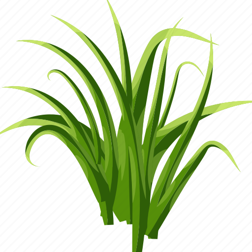 Grass, turf, grass patch, garden grass, scutch grass icon - Download on Iconfinder