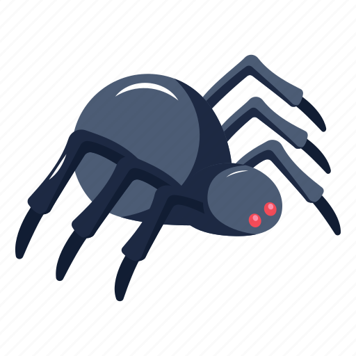 Arachnid, spider, insect, crawler, arthropod icon - Download on Iconfinder