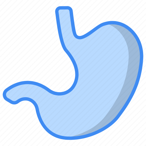 Stomach, digest, organ, digestion, gastroenterology, anatomy icon - Download on Iconfinder