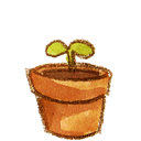 plant, pot 
