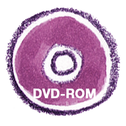 Dvdrom, natsu icon - Free download on Iconfinder