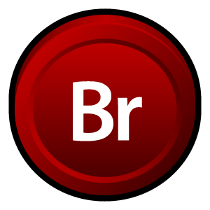 Adobe, bridge, cs icon - Free download on Iconfinder