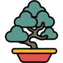 growth, garden, environment, natural, tree, plant, nature, bonsai