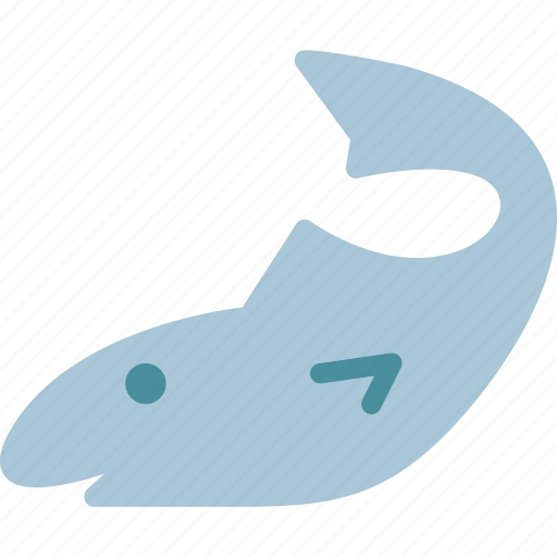 Ocean, sailing, sea, shark, sport, water icon - Download on Iconfinder
