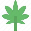 cannabis, hemp, leaf, marijuana, sativa