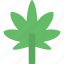 cannabis, hemp, leaf, marijuana, sativa 