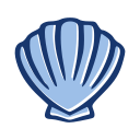 seashell, sea, sea animal, ocean, sea-creature, hand-drawn, animal, shell